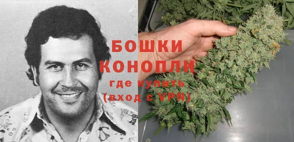 ECSTASY Вяземский